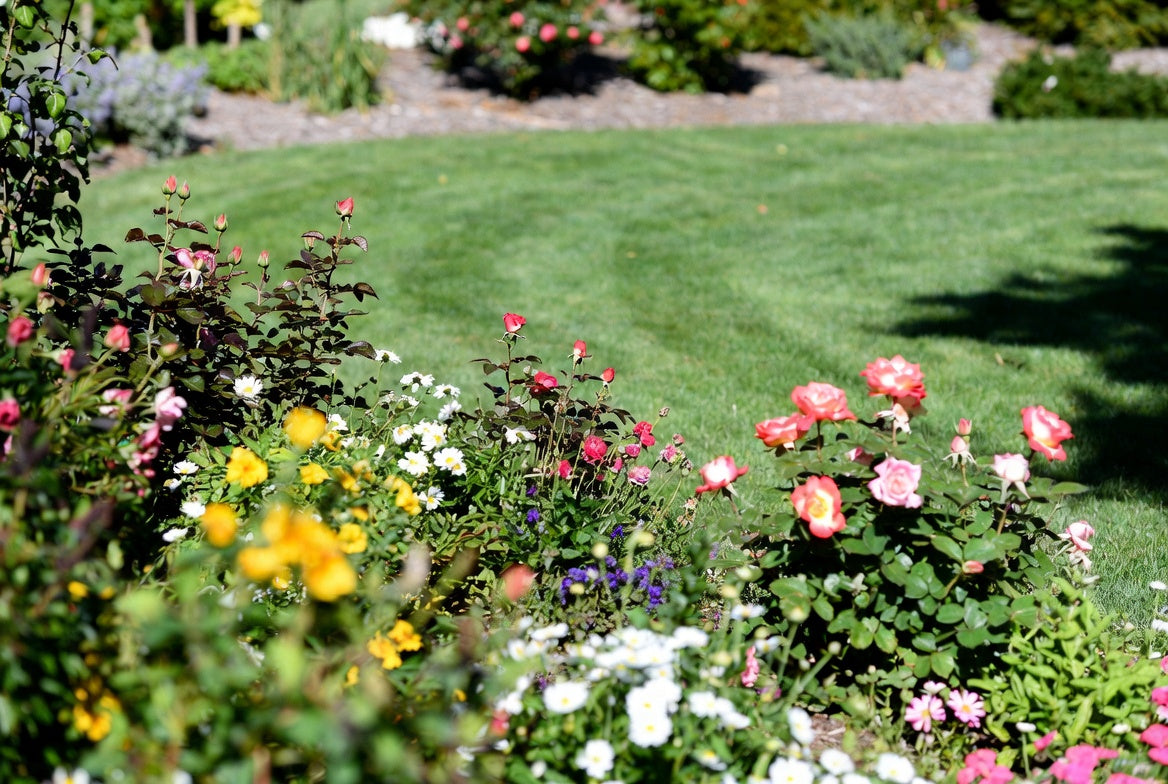 Lawn & Garden Care